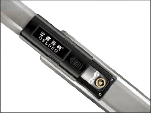 OSSDEN Automatic Swing Gate A750